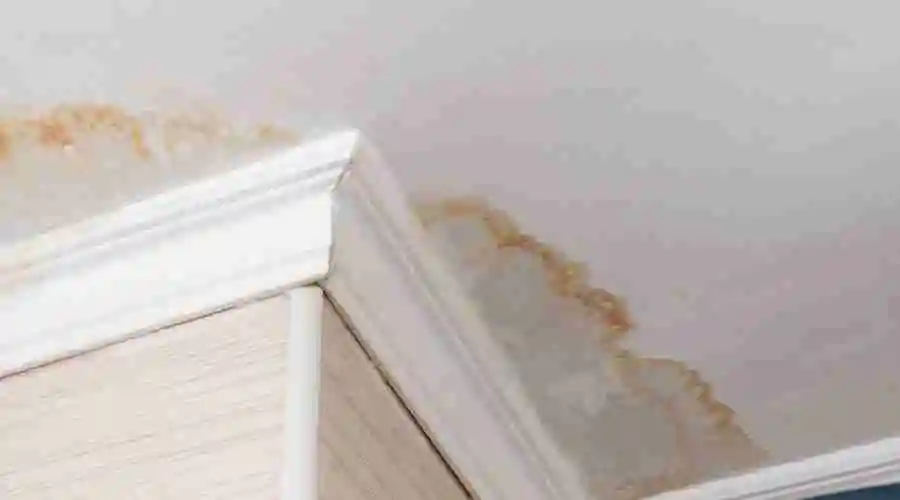 The Right Method for Removing Ceiling Water Stains