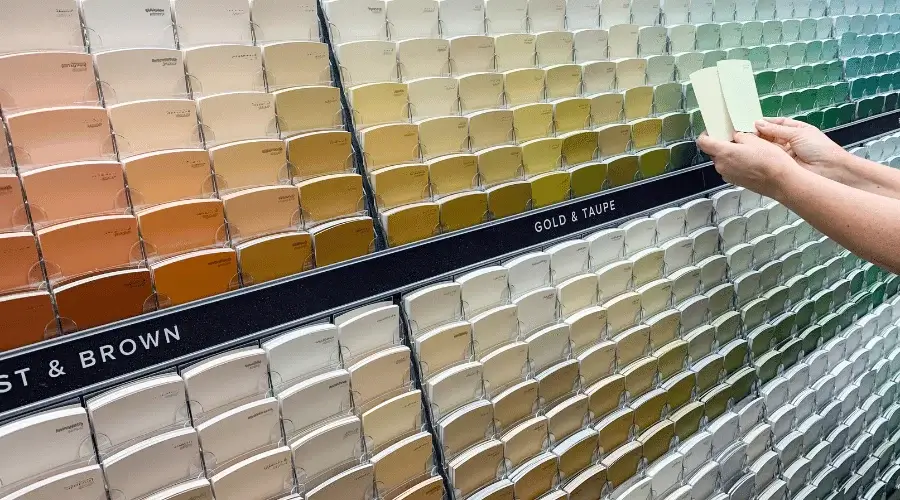 filed paint swatches in varying colors and hues